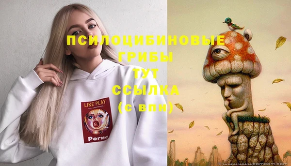 стафф Белокуриха