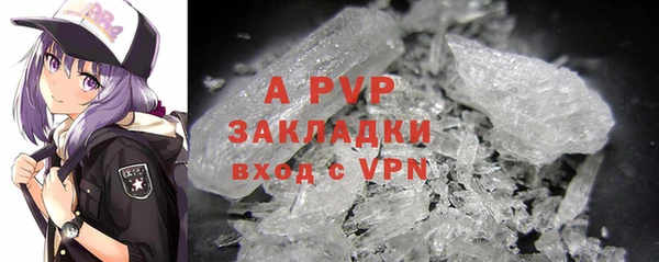 стафф Белокуриха