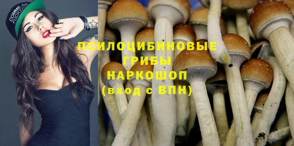 a pvp Беломорск